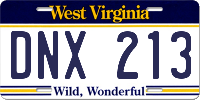 WV license plate DNX213