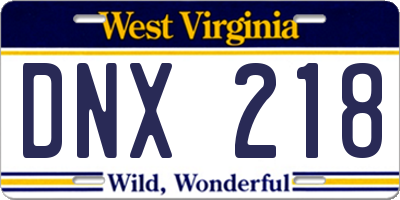 WV license plate DNX218