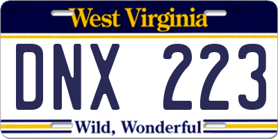 WV license plate DNX223