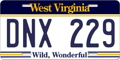 WV license plate DNX229