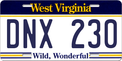 WV license plate DNX230