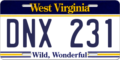 WV license plate DNX231