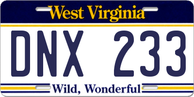 WV license plate DNX233