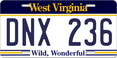 WV license plate DNX236