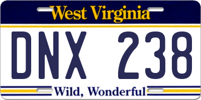 WV license plate DNX238