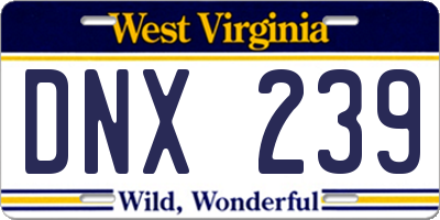 WV license plate DNX239