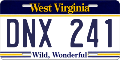 WV license plate DNX241