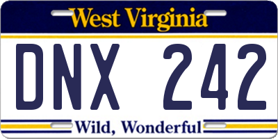 WV license plate DNX242