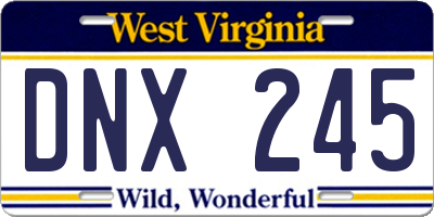 WV license plate DNX245