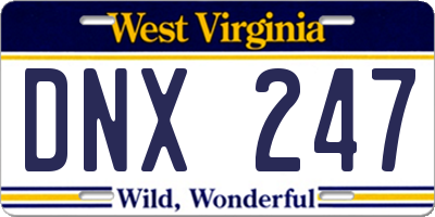 WV license plate DNX247