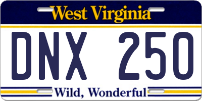 WV license plate DNX250