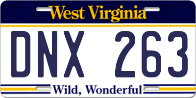 WV license plate DNX263