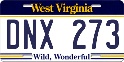 WV license plate DNX273