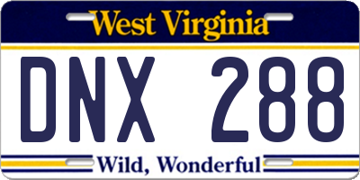 WV license plate DNX288