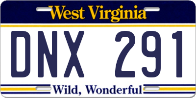WV license plate DNX291