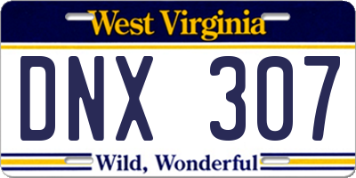 WV license plate DNX307