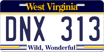 WV license plate DNX313