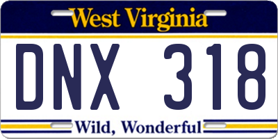 WV license plate DNX318