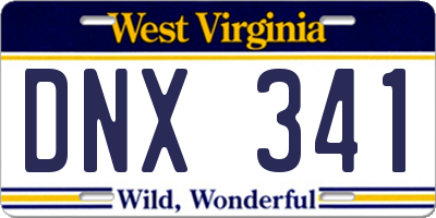 WV license plate DNX341