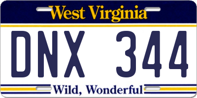 WV license plate DNX344