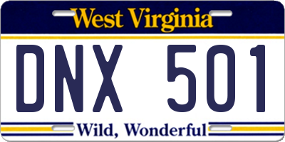 WV license plate DNX501