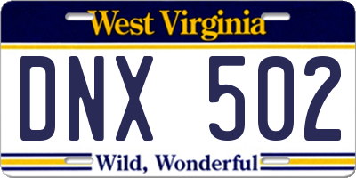 WV license plate DNX502
