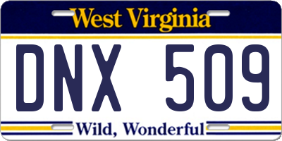 WV license plate DNX509