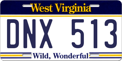 WV license plate DNX513