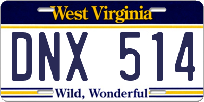 WV license plate DNX514