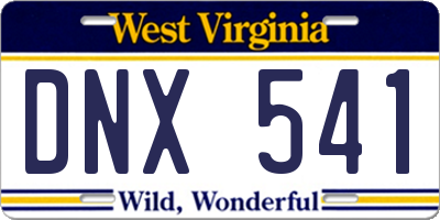 WV license plate DNX541