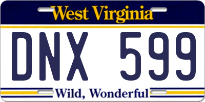 WV license plate DNX599