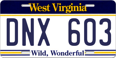 WV license plate DNX603
