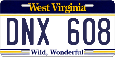 WV license plate DNX608