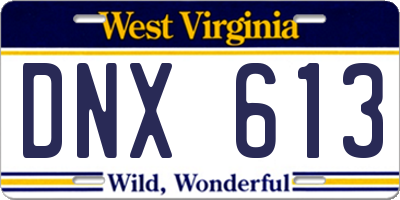 WV license plate DNX613