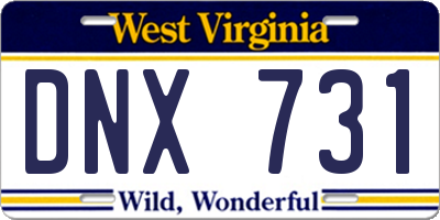 WV license plate DNX731