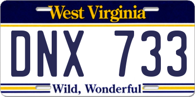 WV license plate DNX733