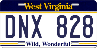 WV license plate DNX828