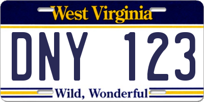 WV license plate DNY123