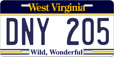 WV license plate DNY205