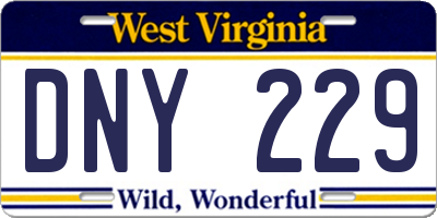WV license plate DNY229