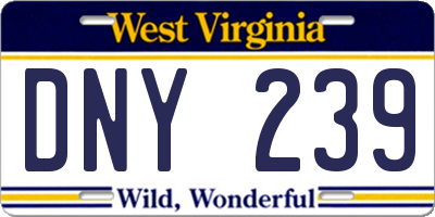 WV license plate DNY239