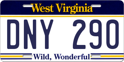 WV license plate DNY290
