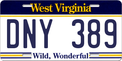 WV license plate DNY389