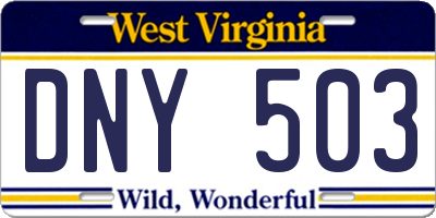WV license plate DNY503
