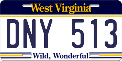 WV license plate DNY513