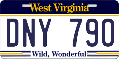 WV license plate DNY790