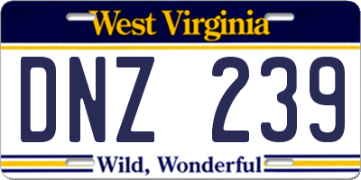 WV license plate DNZ239