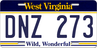 WV license plate DNZ273