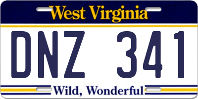 WV license plate DNZ341