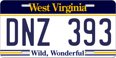 WV license plate DNZ393